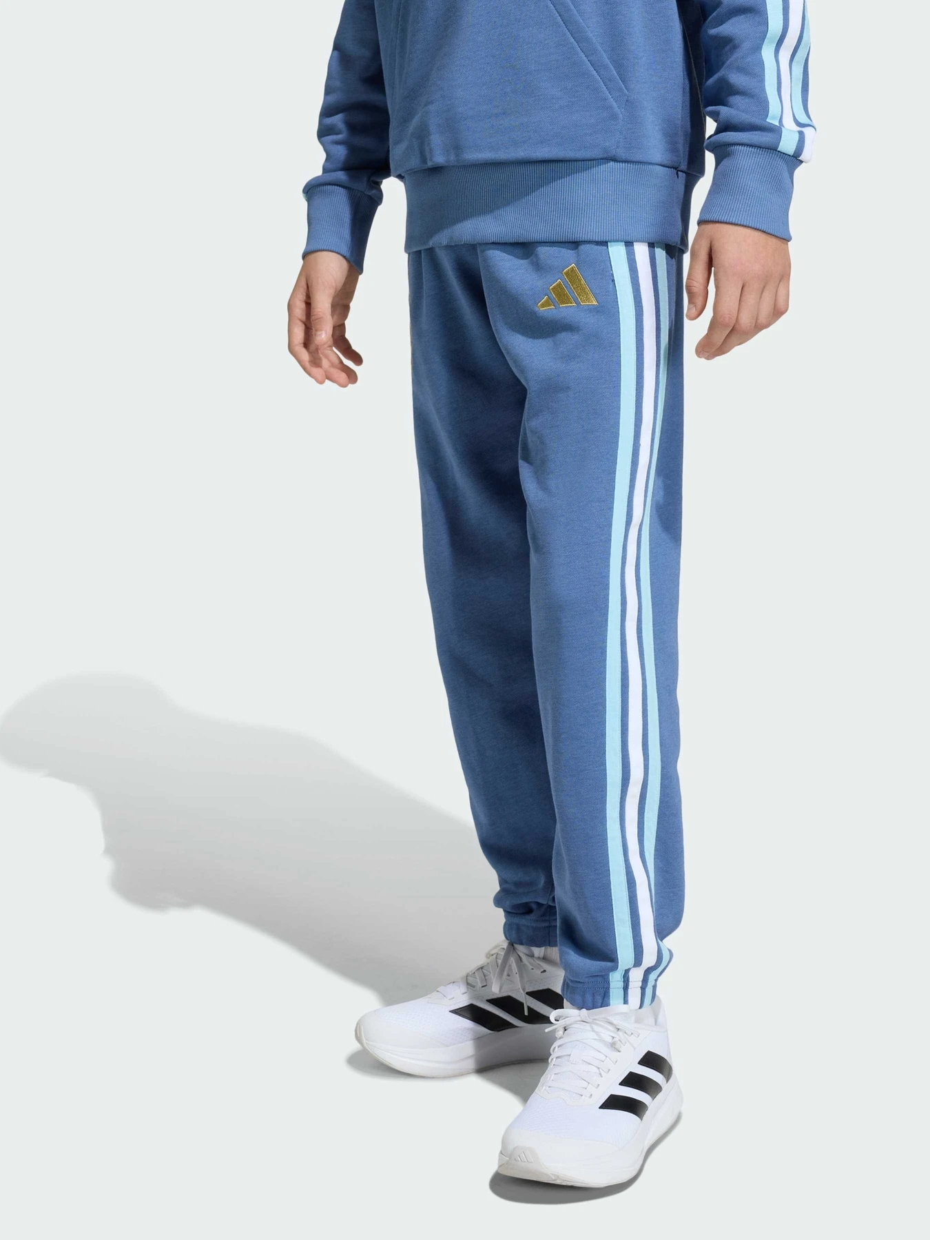 Брюки Adidas модель JZ6303 Фото