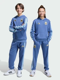 Брюки Adidas модель JZ6303 Фото
