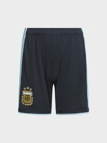 Шорты Adidas модель KA8113 Фото
