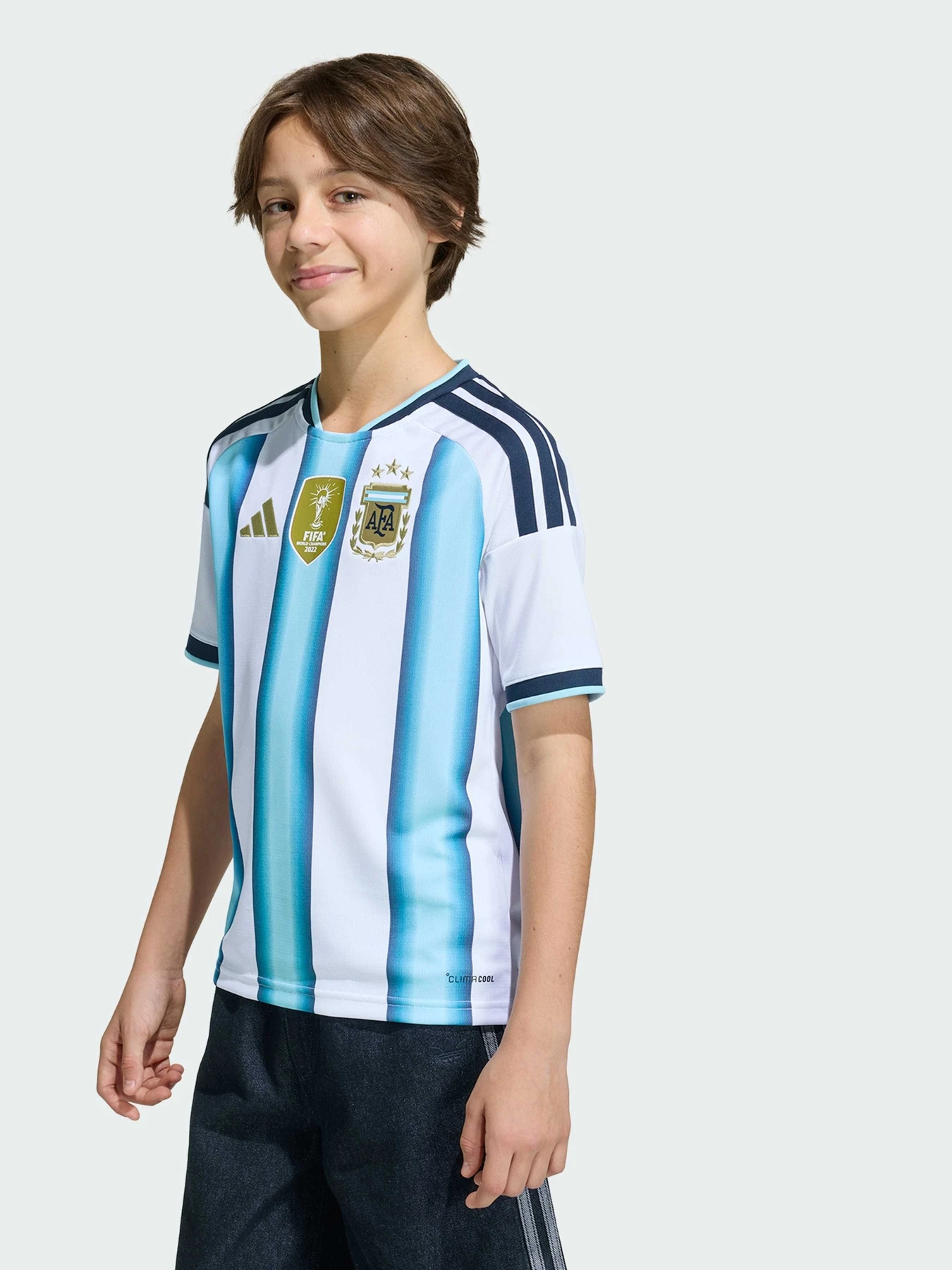 Футболки и поло Adidas модель KA8119 Футболки и поло Adidas модель KA8119 Фото