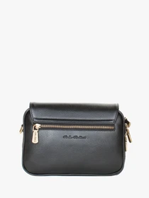 Сумки Bella Bertucci модель 6145-05-32 Фото
