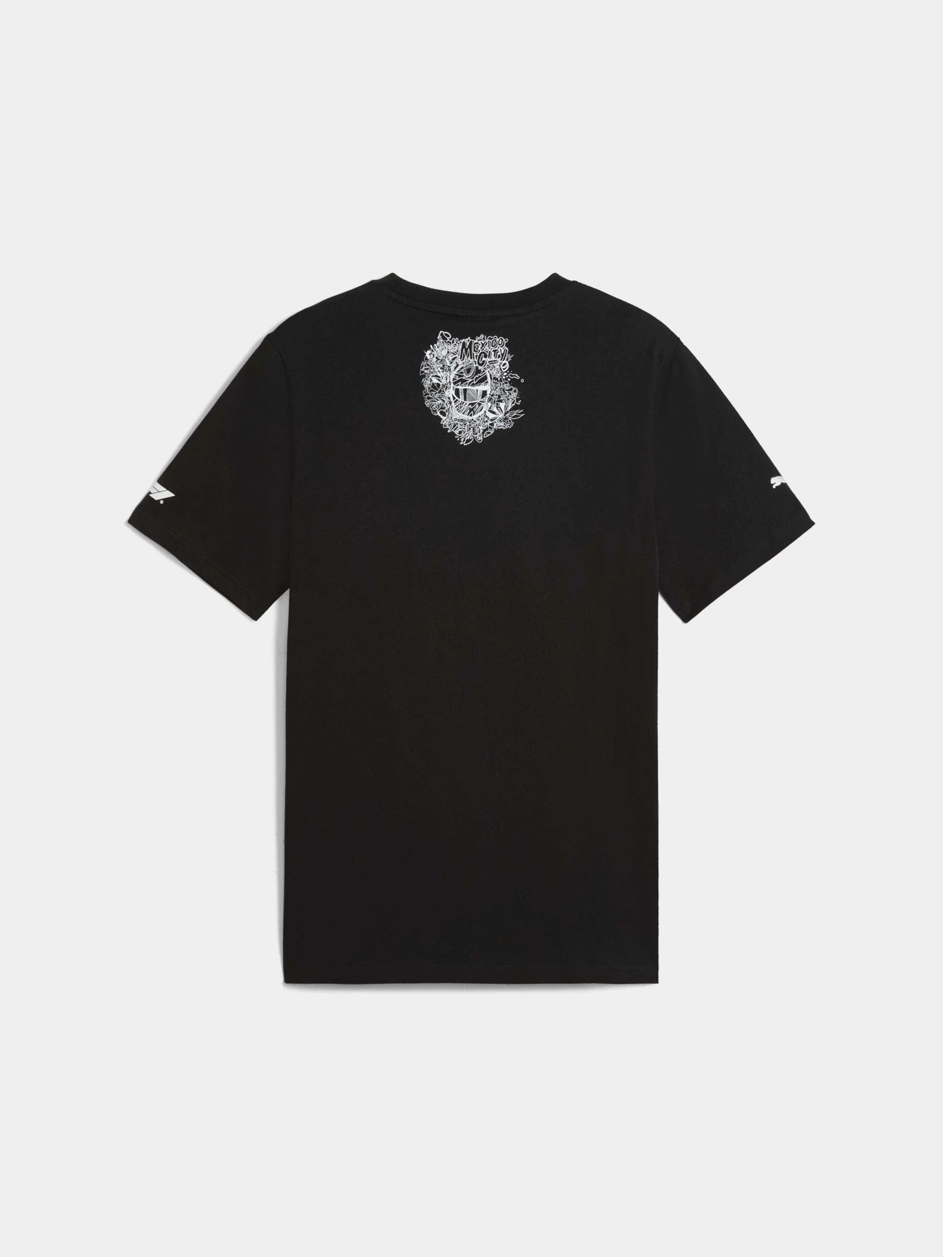 Футболки і поло PUMA F1 Mexico Tee модель 630233 Фото