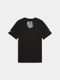 Футболки і поло PUMA F1 Mexico Tee модель 630233 Фото