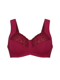 Нижня білизна Anita модель 5813_Havanna_Red Фото