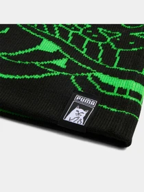 Шапки и кепки PUMA x Ripndip Beanie модель 026596 Фото