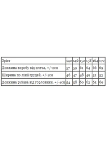 Худи и свитшоты Носи своє модель 6394-025-1-sinxo-chornij Фото