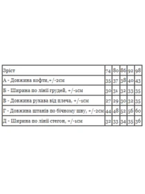 Одяг для немовлят Носи своє модель 5066-025-33-4-dimchastij Фото