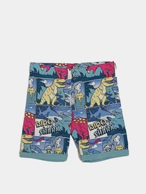 Шорти H&M модель 9570343kwer_Комбинированный Фото