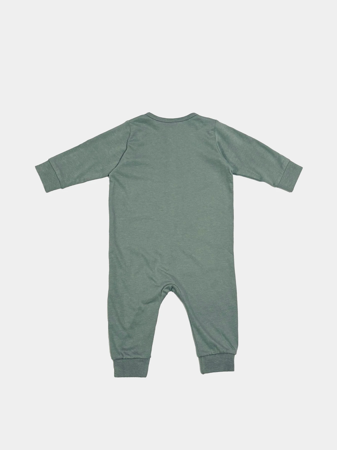 Одяг для немовлят H&M модель 6605414kwer_Зеленый Фото