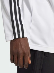 Худи и свитшоты Adidas Adicolor модель JX1519 Фото