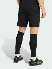 Шорти Adidas модель JZ2521 Фото