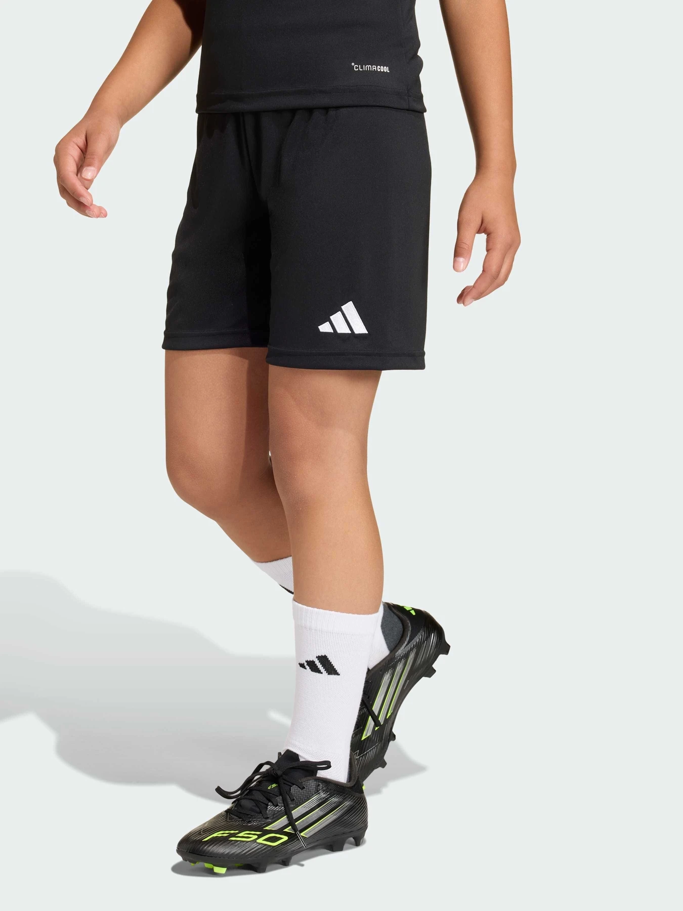 Шорти Adidas модель JZ6531 Шорти Adidas модель JZ6531 Фото