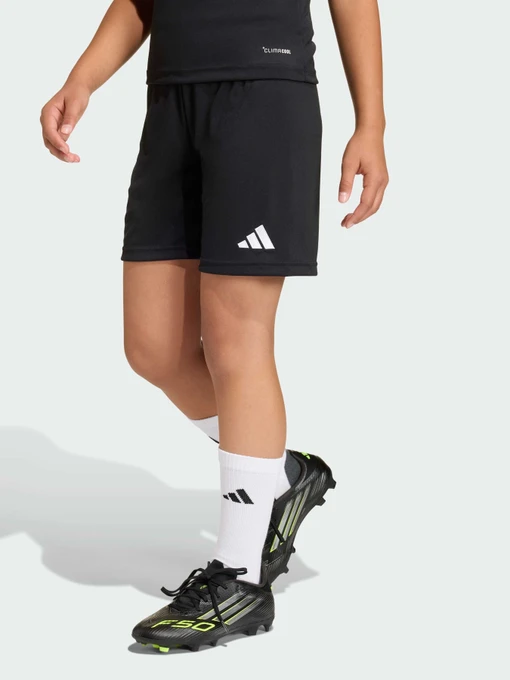 Шорты Adidas модель JZ6531 Фото