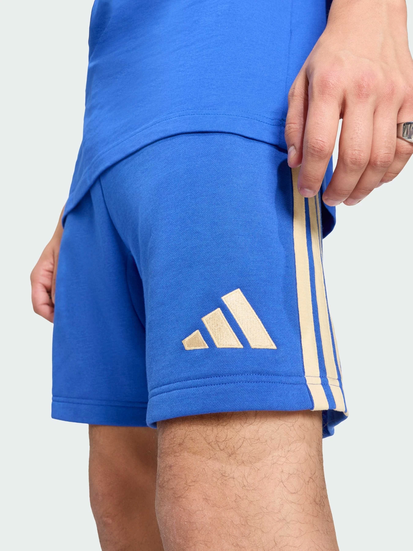 Шорты Adidas модель JZ2065 Шорты Adidas модель JZ2065 Фото