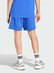 Шорты Adidas модель JZ2065 Фото