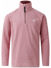 Худі та світшоти Dare2B Freehandfleece модель DKA357-5C2 Фото