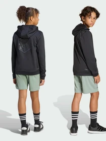 Шорти Adidas модель KD0986 Фото