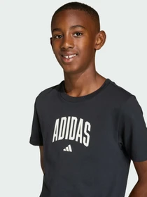 Футболки и поло Adidas модель KE1348 Фото