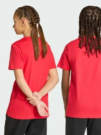 Футболки і поло Adidas модель KE1335 Фото