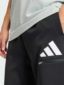 Брюки Adidas модель JZ9399 Фото