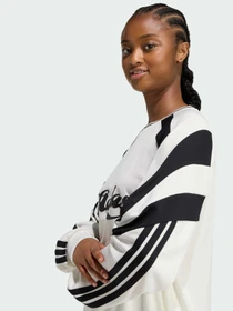 Худи и свитшоты Adidas Tiro модель KC4007 Фото