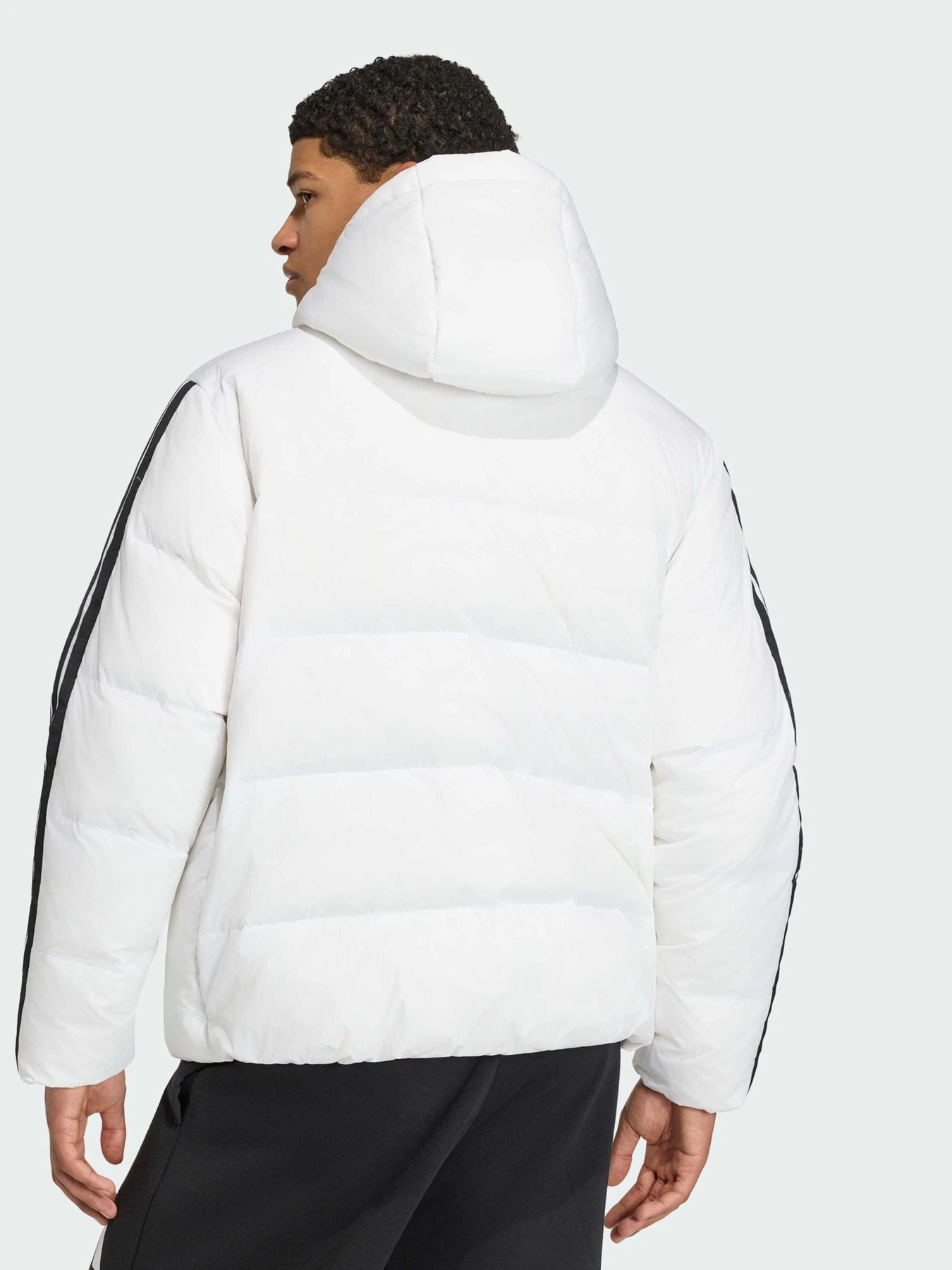 Куртки та дублянки Adidas модель JX7800 Фото