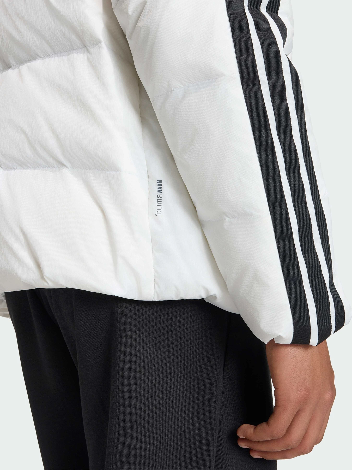 Куртки та дублянки Adidas модель JX7800 Фото