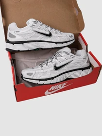Кросівки NIKE P-6000 модель CD6404-107 Фото
