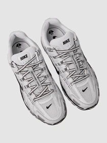 Кросівки NIKE P-6000 модель CD6404-107 Фото