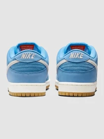 Кросівки NIKE Sb Dunk Low Pro модель FJ1674-401 Фото
