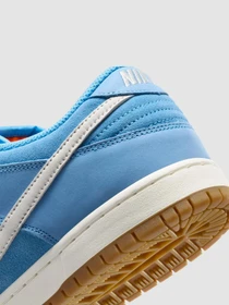 Кросівки NIKE Sb Dunk Low Pro модель FJ1674-401 Фото