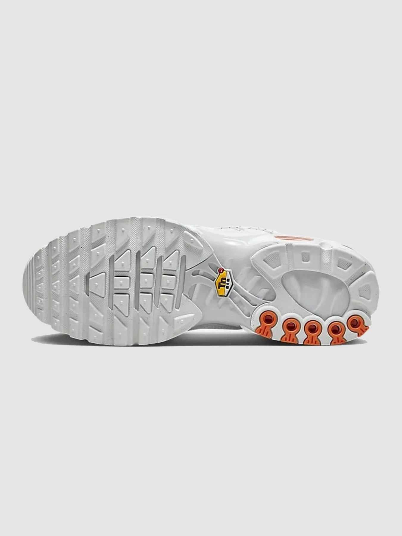 Кросівки NIKE Air Max Plus Tn модель FJ4232-100 Фото