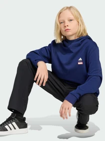 Худи и свитшоты Adidas Marvel модель KE2035 Фото