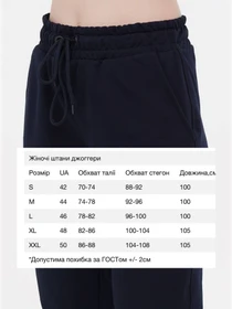 Брюки HiBrand модель Wn253 Фото