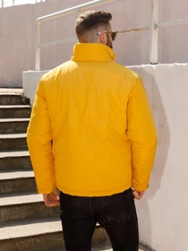Куртки та дублянки ISSA Plus модель SA-316_mustard Фото