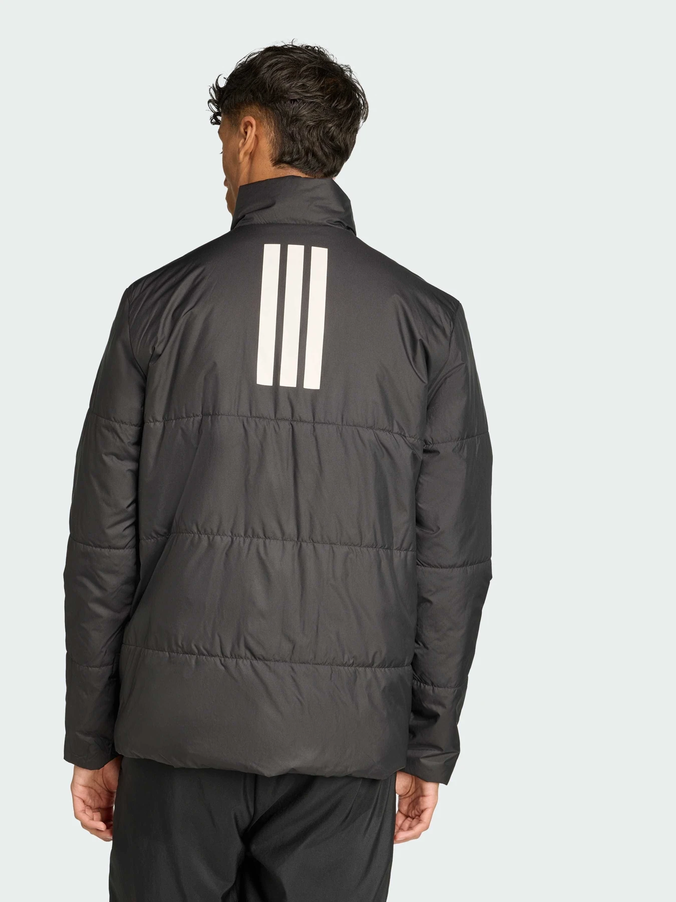 Куртки та дублянки Adidas модель JM3922 Фото