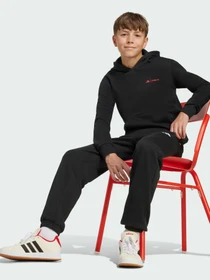 Худи и свитшоты Adidas модель JW2459 Фото
