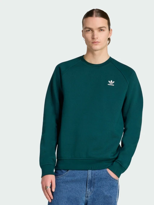 Худи и свитшоты Adidas модель HY2081 Фото