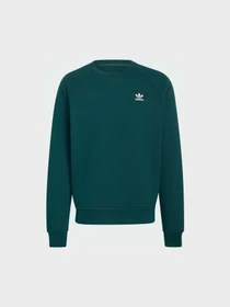 Худи и свитшоты Adidas модель HY2081 Фото