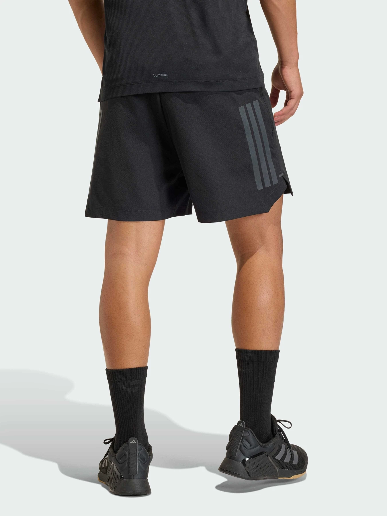 Шорты Adidas модель KD0353 Шорты Adidas модель KD0353 Фото