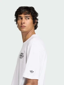 Футболки і поло Adidas Graphics модель KE2252 Фото