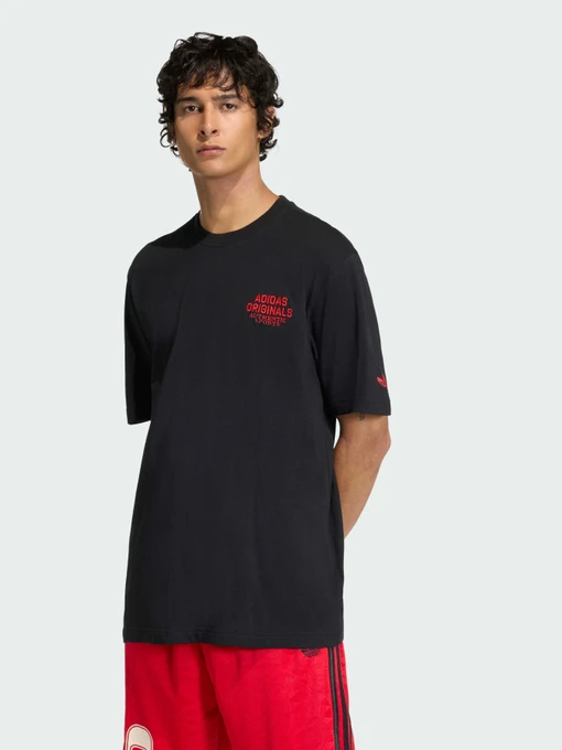 Футболки и поло Adidas Graphics модель KE2253 Фото