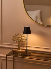 Настольная светодиодная лампа с аккумулятором черная MBM HOME модель DH-LAMP-15 BLACK Фото