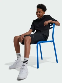 Шорты Adidas ZNE модель JF2496 Фото
