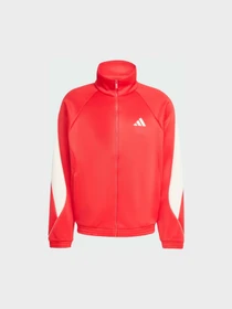 Худи и свитшоты Adidas модель KE9574 Фото