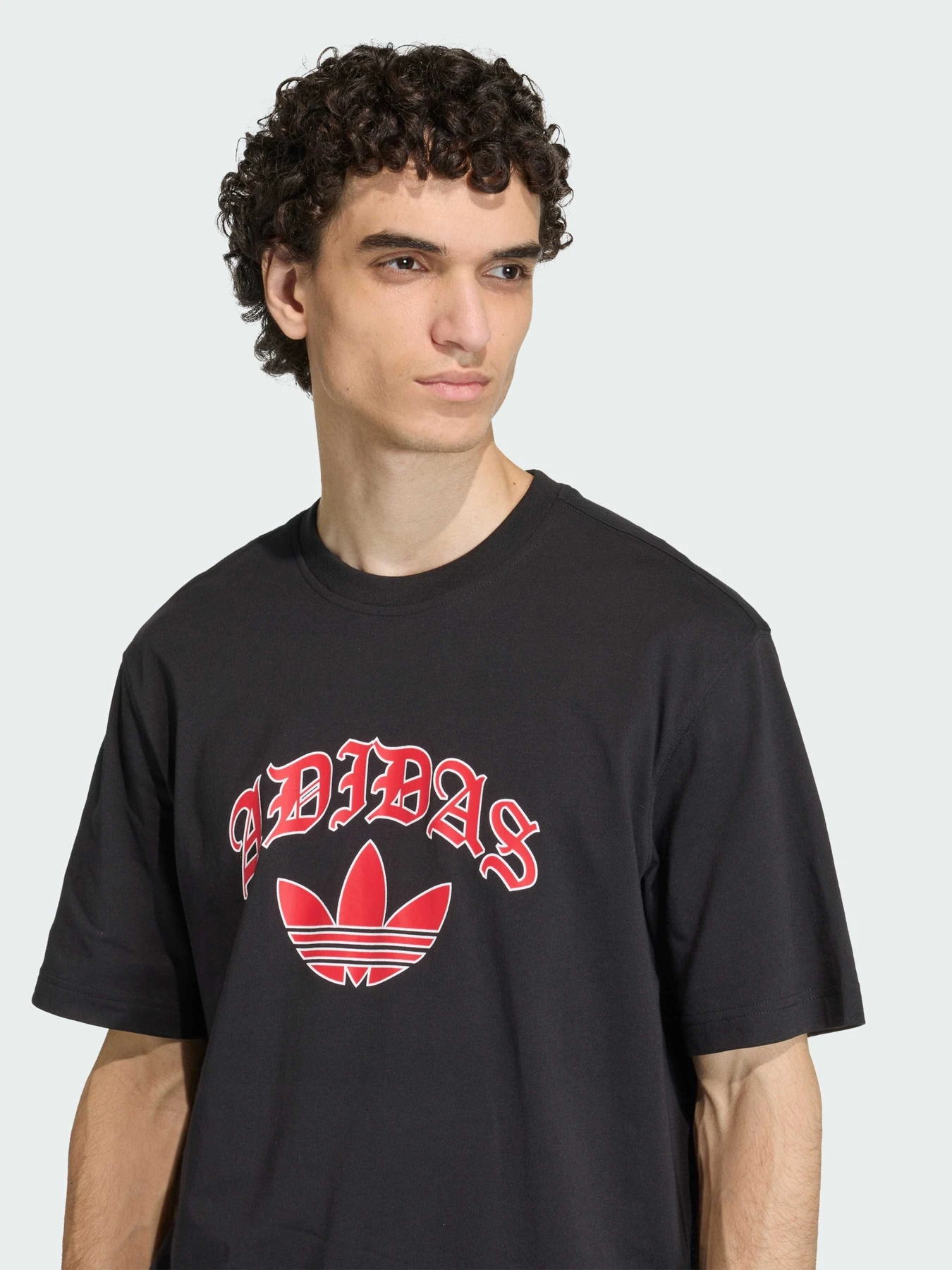 Футболки и поло Adidas Graphics модель KS7618 Футболки и поло Adidas Graphics модель KS7618 Фото