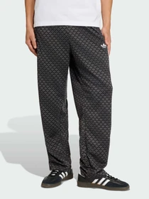 Брюки Adidas Graphics модель KC9159 Фото