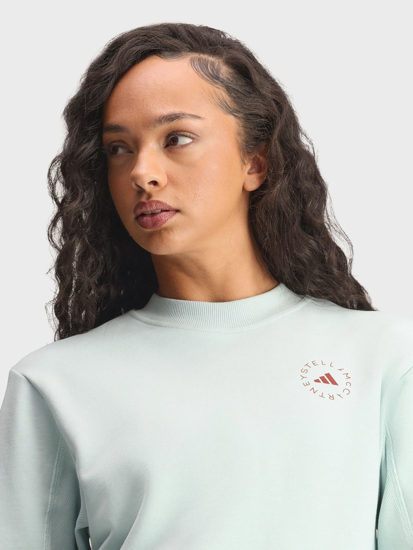 Худи и свитшоты Adidas модель JZ0673 Худи и свитшоты Adidas модель JZ0673 Фото