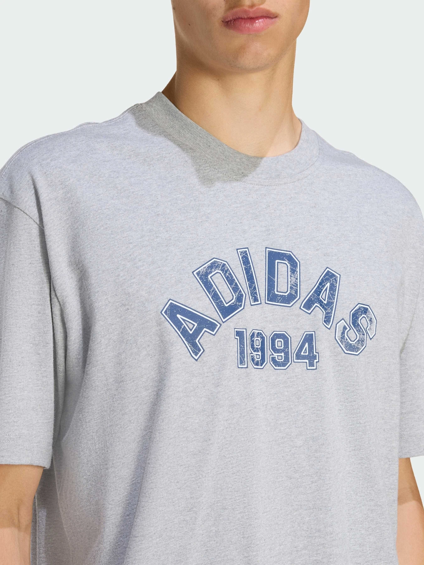 Футболки и поло Adidas Graphics модель KE2251 Футболки и поло Adidas Graphics модель KE2251 Фото