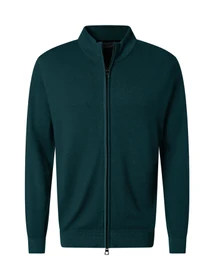 Свитры и кардиганы Pierre Cardin модель C5 50709.5037.5228 Фото
